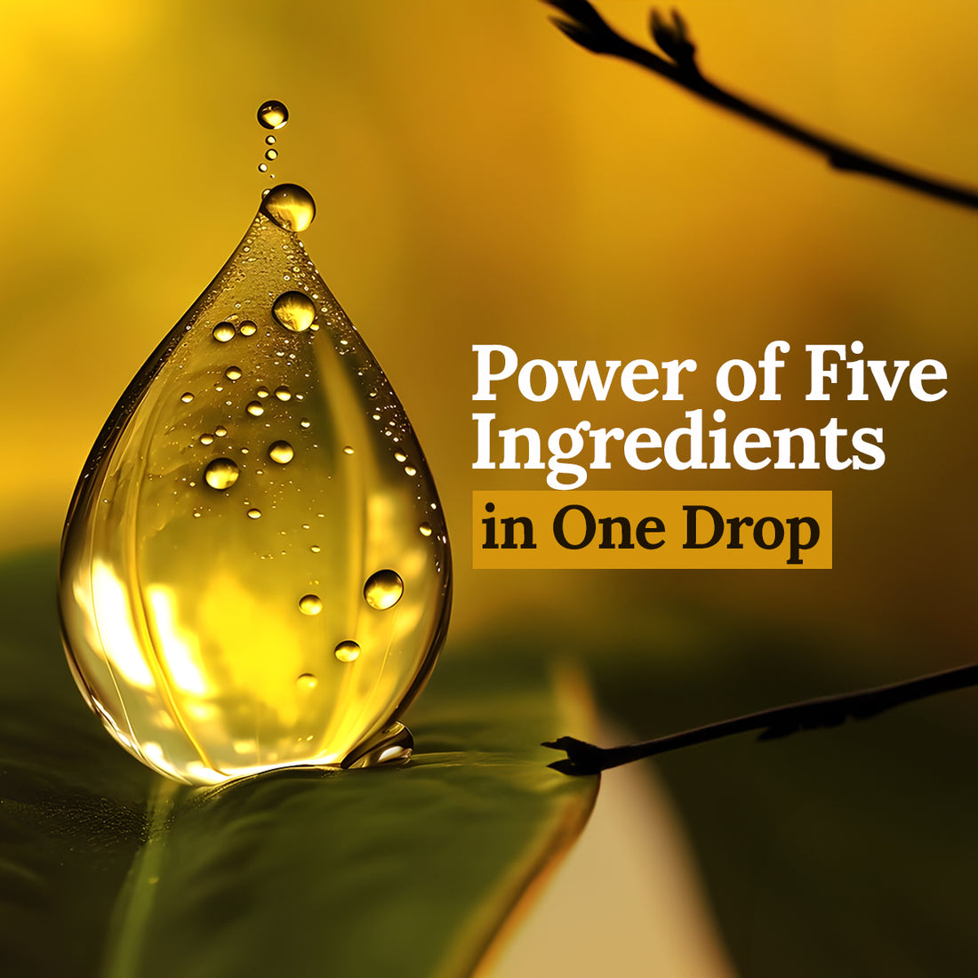 Power of Five Ingredients in One Drop: ruwaa Hair Serum