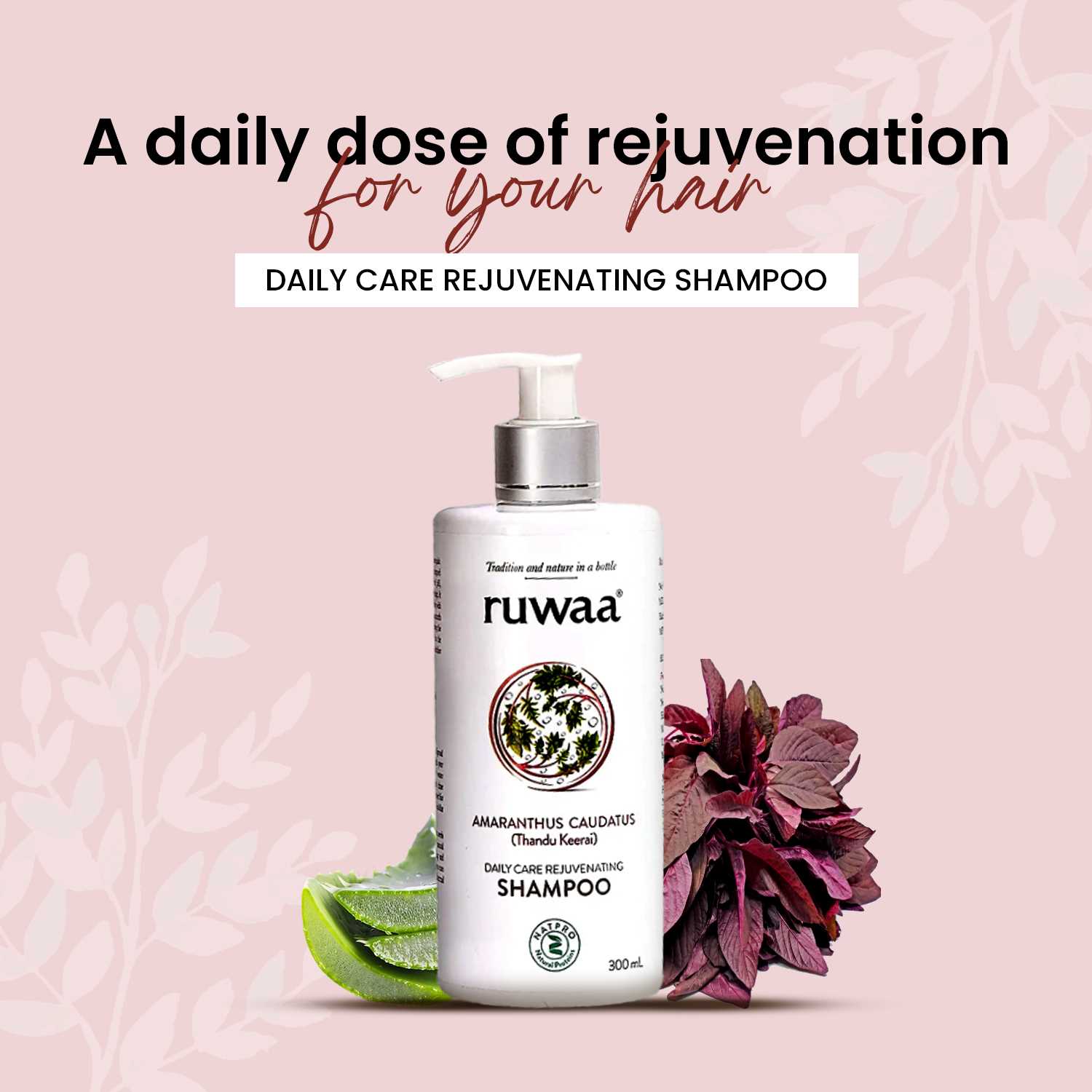 Ruwaa Daily Care Rejuvenation Shampoo with Amaranthus Extract 300ML Reduces hair Fall | Boosts healthy hair growth | Repair dry and damaged hair